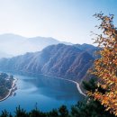 (주)청조 이미지