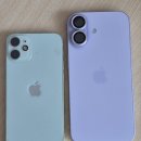 11545-12-15-17 | 아이폰 17 일반 라벤더 색상 자급제 내돈내산 3개월 실사용후기(17에어, 17, 12미니 비교)