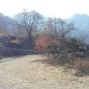 동암 농로 이미지