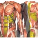 마스터PT 운동과학센터 이미지