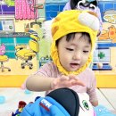 새솔동물병원 이미지