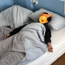 황제민박 이미지