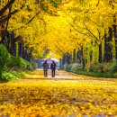 관악산길 이미지