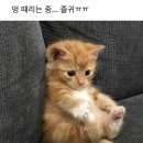 은인농장 이미지