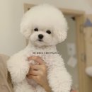 멈미스 이미지