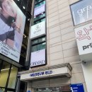 서아 | 성수미용실 피오피오 서아 디자이너 헤드스파 후기