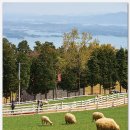 종인목장 이미지