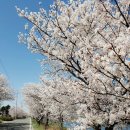 오카리나&우쿨렐레 이미지