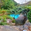 어천둘레길펜션 이미지