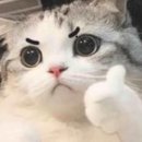 호박노래바 이미지