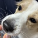 오아, our happy hour 이미지