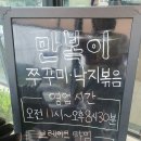 동굴 낙지와 쭈꾸미 이미지