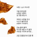 낙엽 / 이수만 (사)서울시소기업소상공인연합회 초대회장 이미지