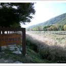 자연생태공원 수변데크 입구 이미지