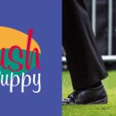 포포퍼피 이미지