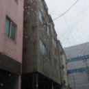 신안동12 이미지