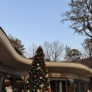 공릉1동 주민센터(노원) | 수락휴 씨즌서울 바이 홍신애 | 노원 자연휴양림 한식맛집 건강 쌈밥 저녁 후기