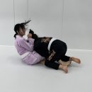 어반주짓수방배 네이버블로그