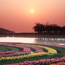 남해 다초지: 봄꽃 향연에 취하다 이미지