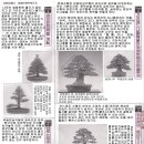 표현기획 이미지