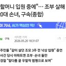 명문대생 조부살해 이미지