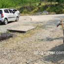 금봉산 농장 이미지