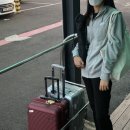 제주싱싱몰 이미지