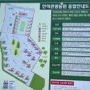 율곡관광농원 야영장 | 화성 가족 여행 1박 2일 글램핑 캠핑 야영장 내 돈 내산 추천 안석관광농원