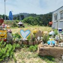 십리포 펜션 민박 이미지