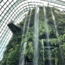 베이의원 이미지