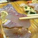 어(漁)동해바다 | 양양 회포장 맛집 어실장회포장 모둠회 2인 포장후기