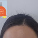 대신모토피아 네이버블로그