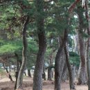 쌍전리마을회관 이미지