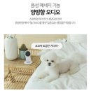 아간지 | [내돈내산 후기] 아가 집에 필수 “ 이글루 홈캠 ”