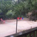 태리농장 이미지