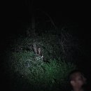 페이크 다큐멘터리와 장르영화를 오가는 '랑종'의 구조에 대하여, 20년 전으로 돌아가 만든 것 같은 '랑종'에서 주목해야 할 부분 또한 이미지