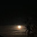 충주호캠핑장 이미지