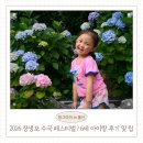 분홍땡땡이 | 모노레일 타야할까? 울산 장생포 수국축제 첫날 6살 아이와 다녀온 실시간 후기와 팁