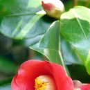 노래공원 이미지