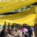 곡성기차당 뚝방마켓 이미지