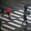 춘우 뉴스비전e