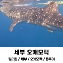 없음 | 세부 오캐모팩 내돈내산 존투어 단독투어 광고없음 후기