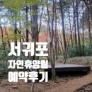 서귀포 자연휴양림 예약 후기 및 야영장 기본정보 가을 제주 캠핑