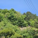 용담호보이는길 이미지