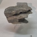 연세대학교박물관 | 25.8.7-2 서대문구 연세대학교박물관