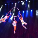 동춘서커스 초인의 비상 이미지