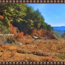 봉화부분정비 이미지