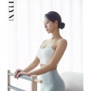 필라펠리스 이미지