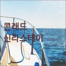 서울 호텔 추천 콘래드 롯데시티 신라스테이 스카이파크 위치 시설 후기 비교