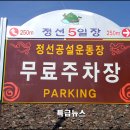 정선 공설운동장(체육시설) 이미지